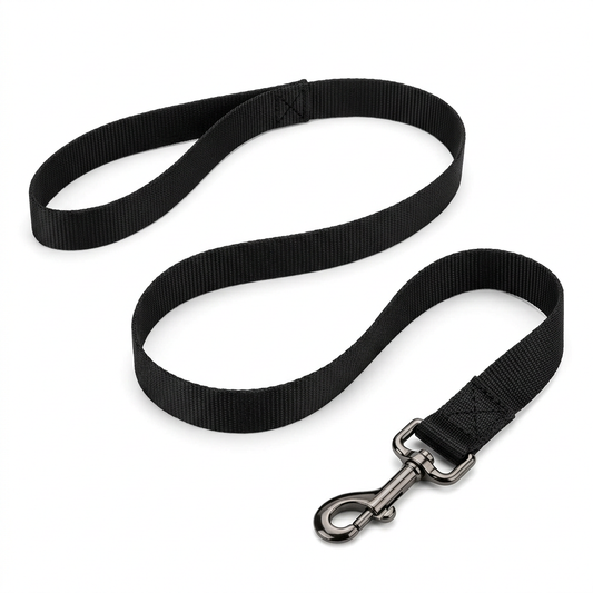 Classic black nylon dog leash laid out showing integrated loop handle and swivel metal bolt snap clip on pure white background
