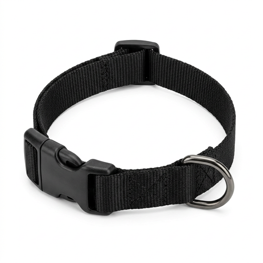 Adjustable black nylon dog collar laid out in a curved loop showing quick-release buckle, tri-glide slider, and metal D-ring on pure white background