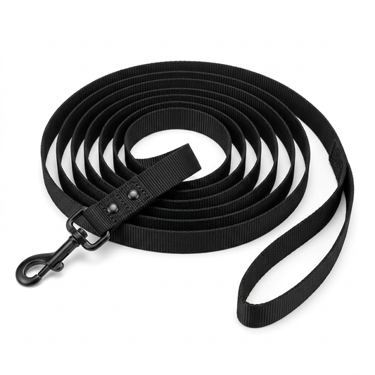 Long dog training leash neatly arranged in wide concentric flat coils showing handle loop and swivel snap clip on pure white background
