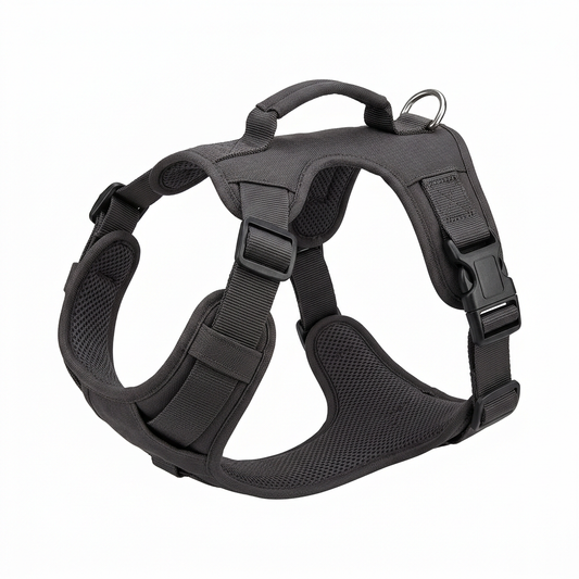 Adjustable dog harness showing padded vest body, nylon straps, side buckles, and metal D-ring on pure white background