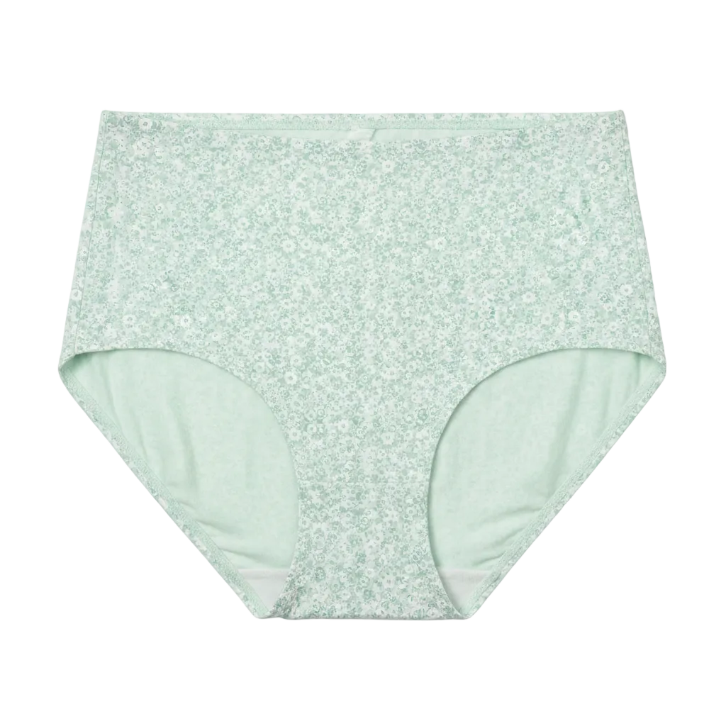Front view of high waist floral printed cotton briefs on white background